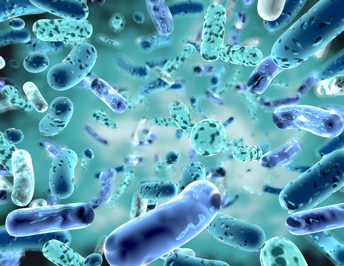 PROBIOTICS AND PREBIOTICS