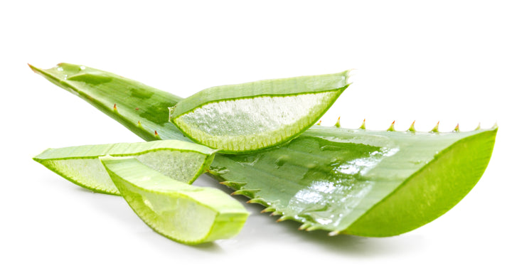 aloe vera plant gel soothing healing moisturising