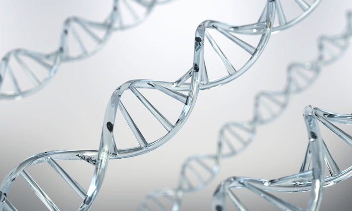 How Collagen Improves Your Skin (and How to Boost It)